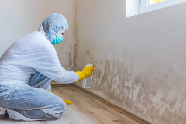 Hvac And Air Duct Mold Remediation inspection of HVAC system in Laingsburg