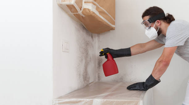 Attic Mold Remediation treatment on roof deck in Laingsburg